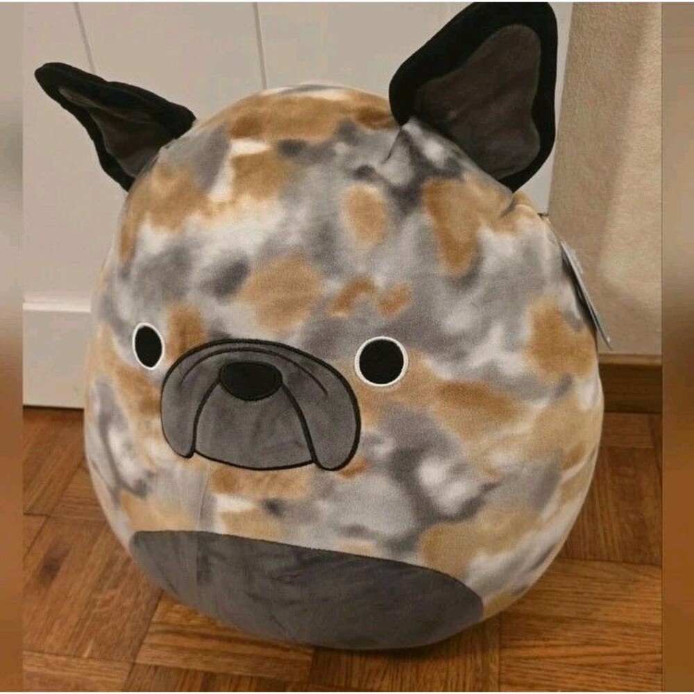 Squishmallow The French BullDog 16" RARE Plush Toy  ~ 2025, Nwt, gift idea